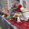 weihnachtsmarkt2018_0081